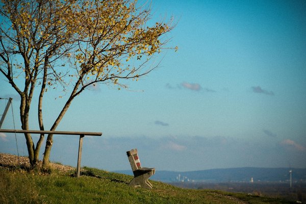 L'impact de l'hypertension sur le risque d'Alzheimer