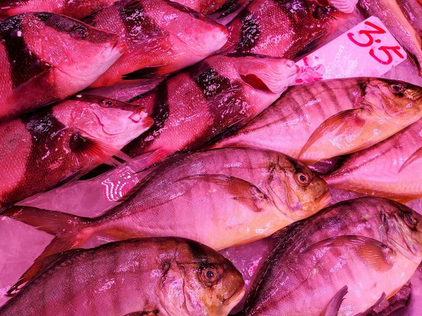 Le rôle de l'audiologiste dans le maintien de la santé auditive